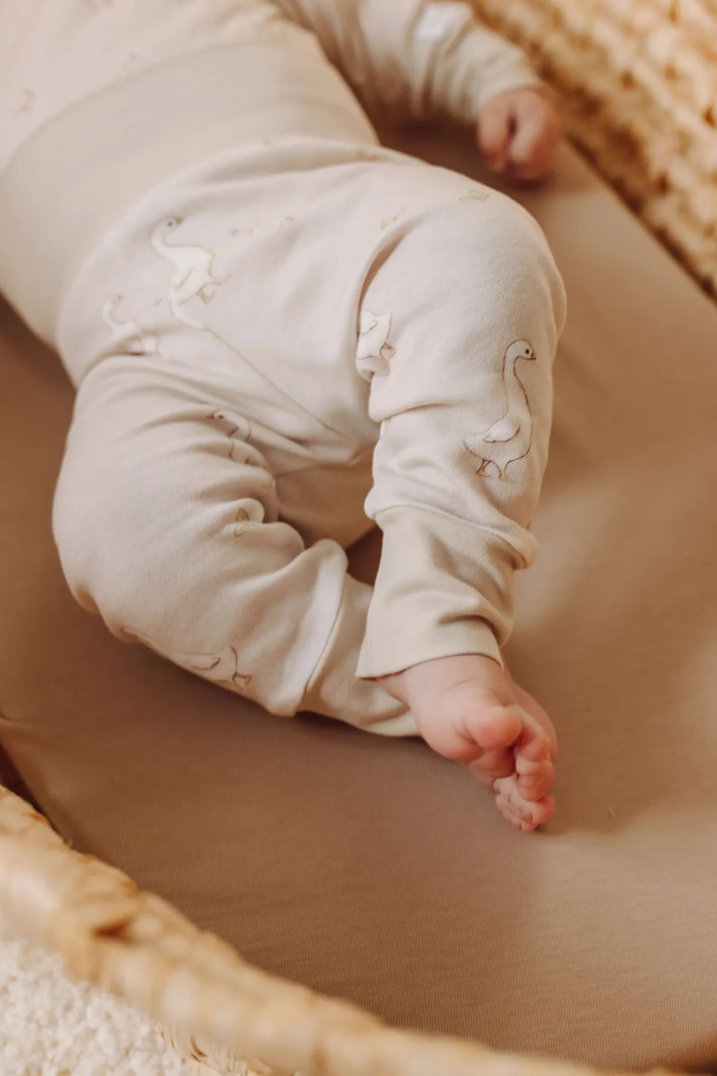 Komplet body kopertowe i spodenki Gąski