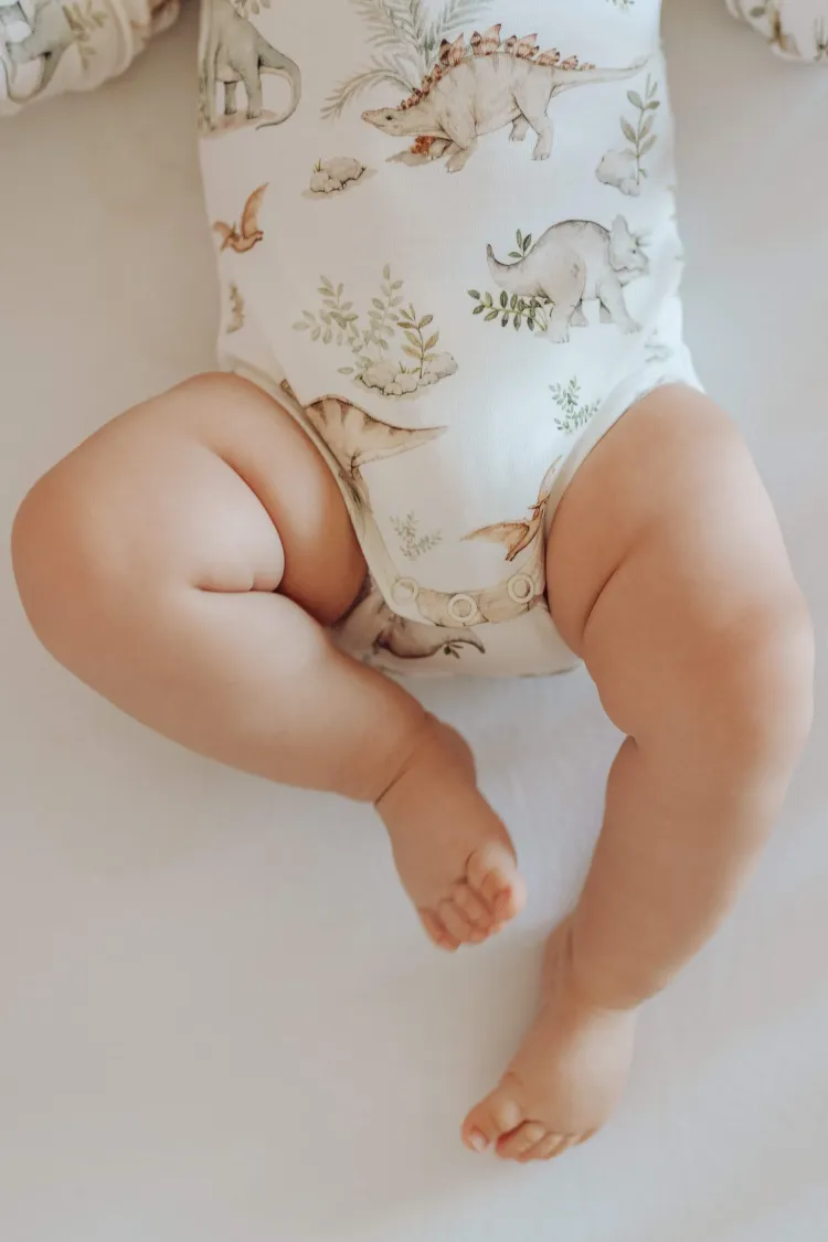 Body Dinozaury
