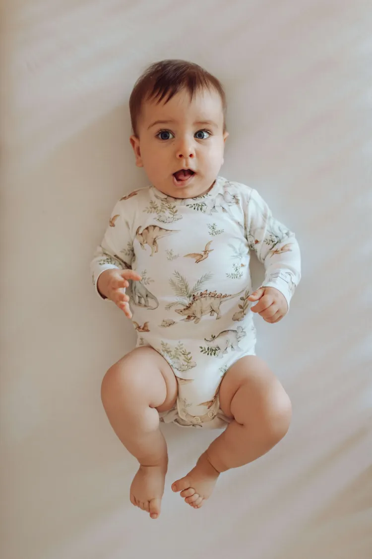 Body Dinozaury