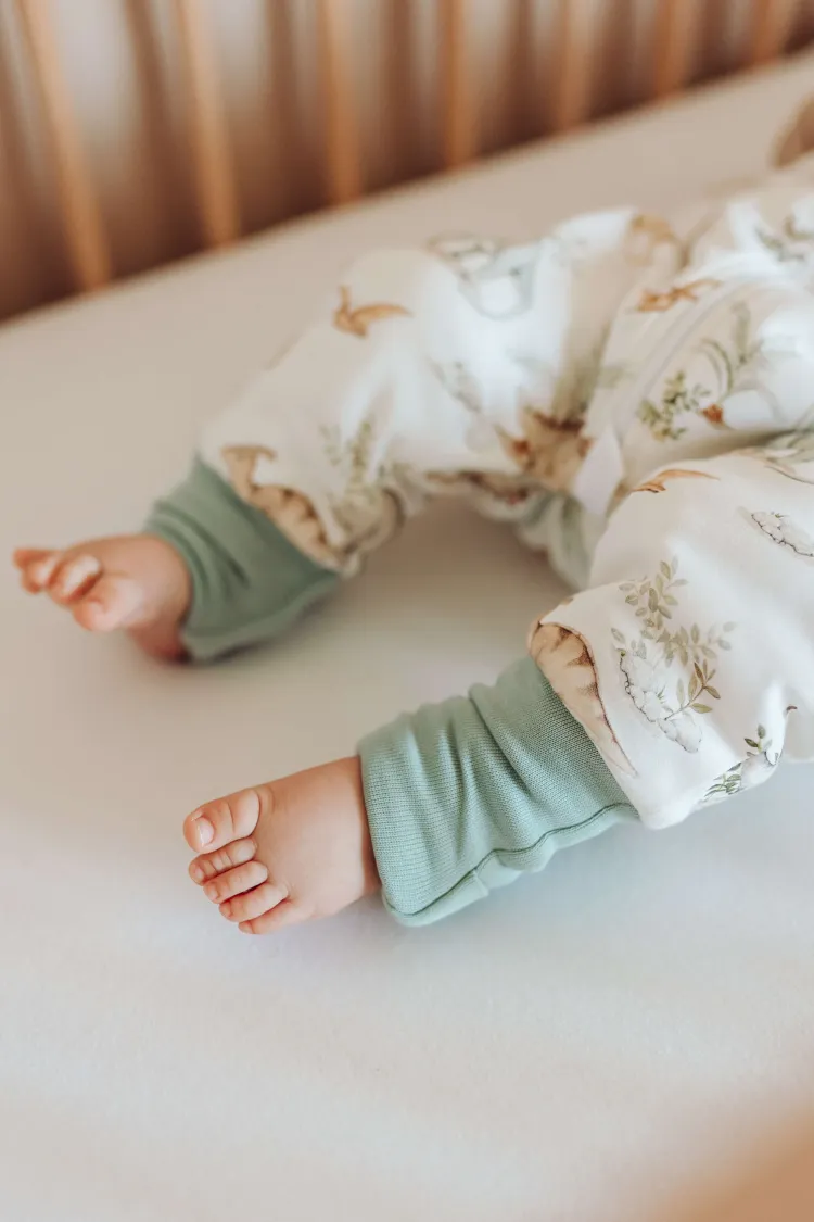 Śpiworek z nogawkami 1,5 tog Dinozaury